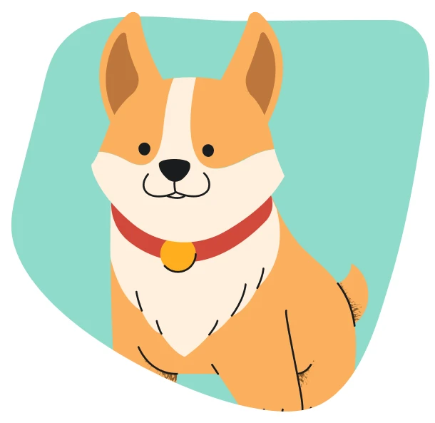 Pet travelindo hero image