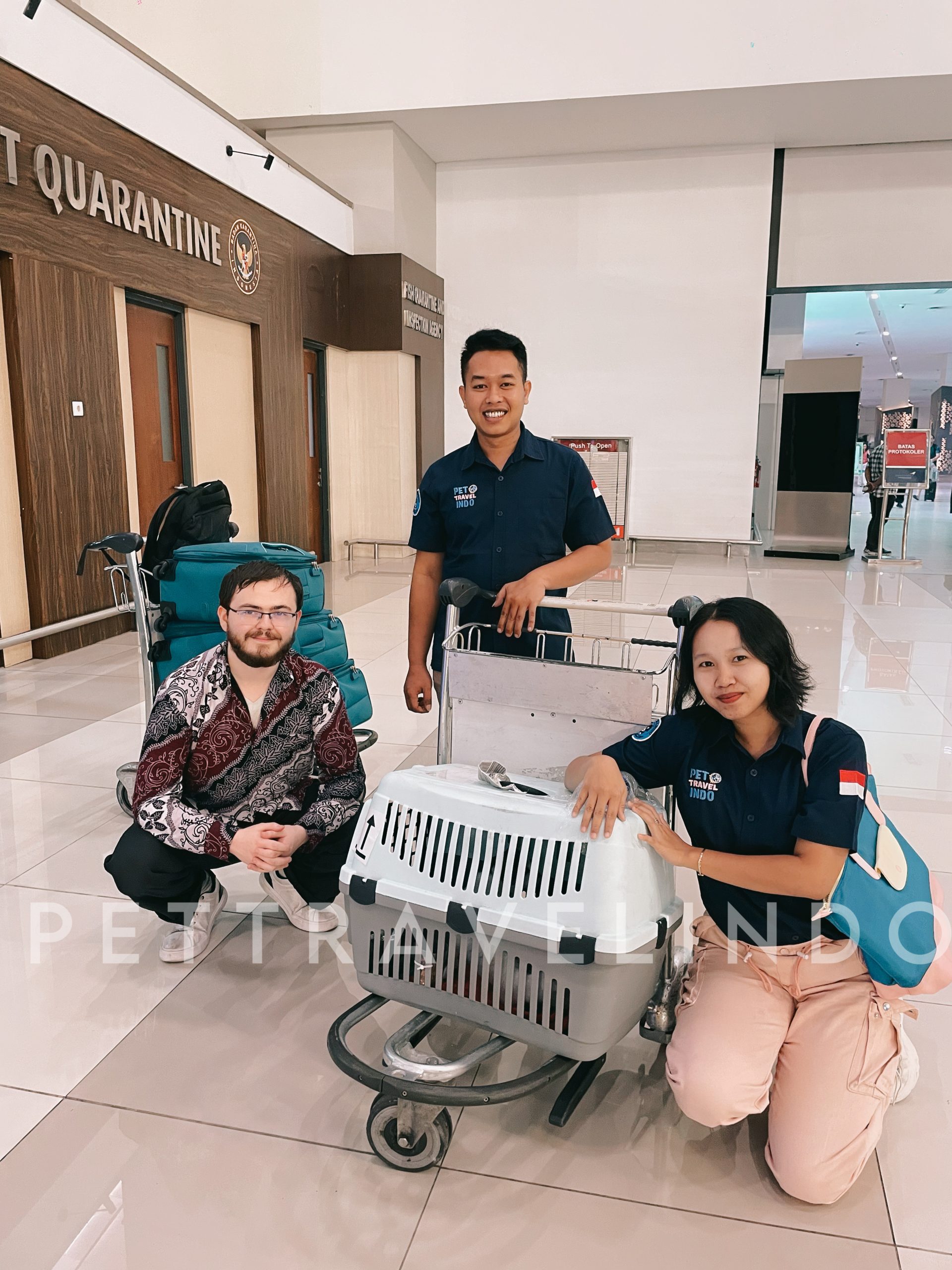 1 Cat from Kuwait to Indonesia - Pet Travel Indo