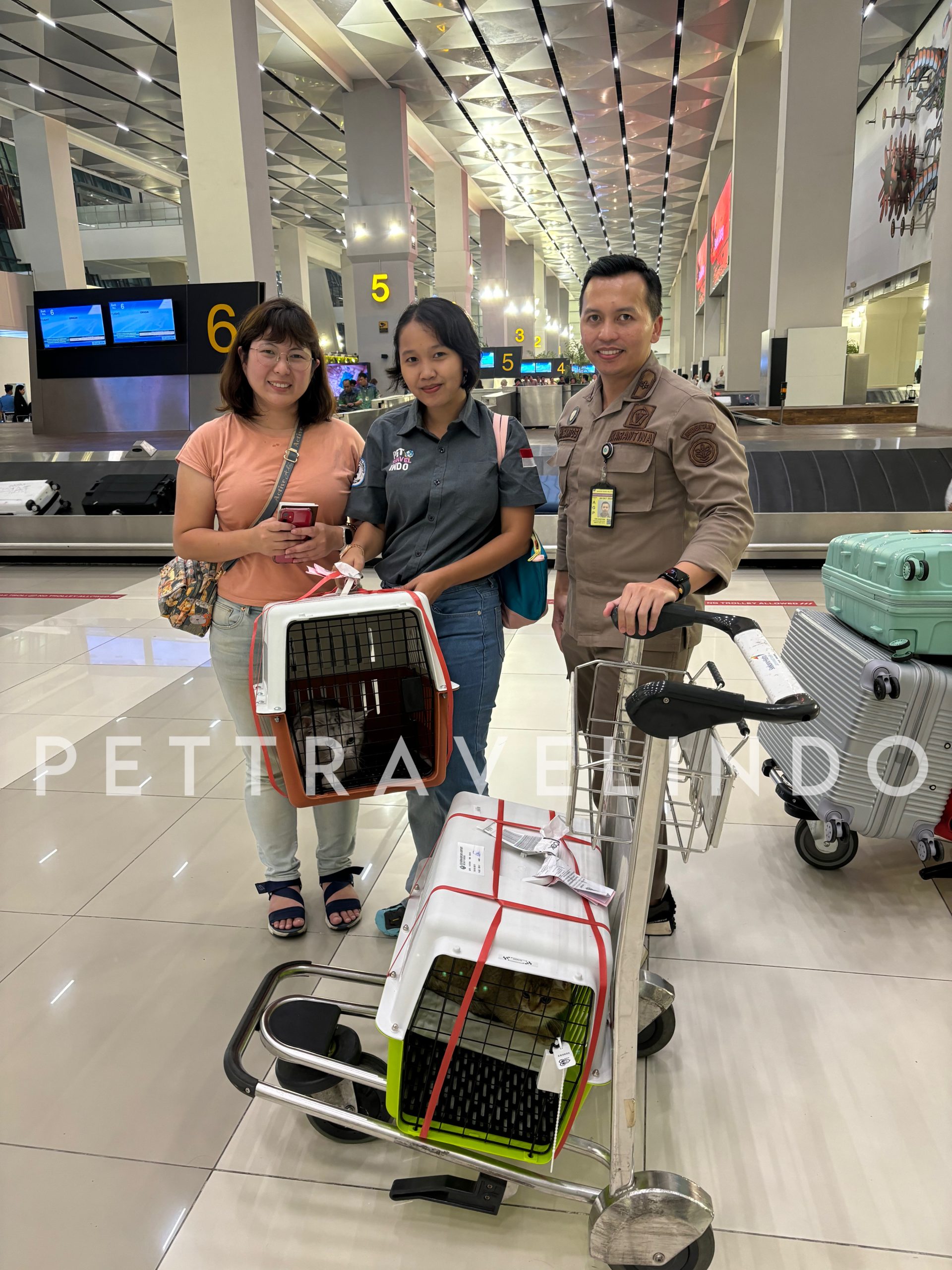 Thailand to Indonesia by Pet Travel Indo