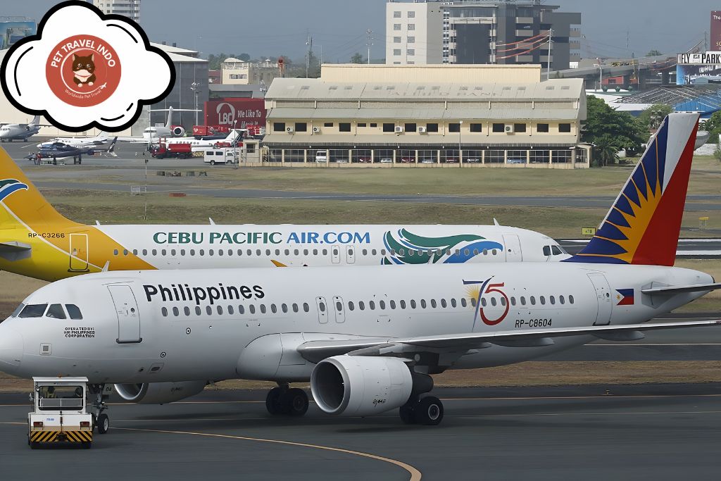 pet friendly airlines in philippines