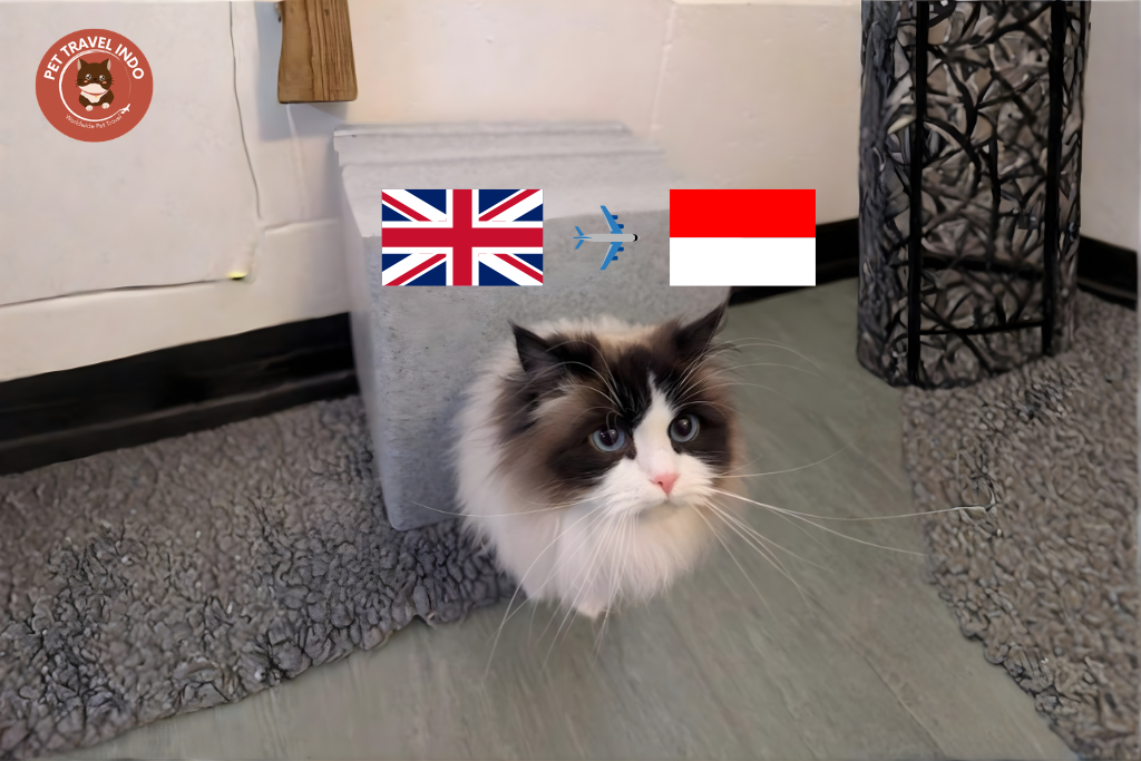 pet transport services uk to indonesia