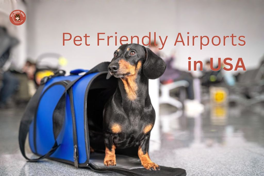 Pet Friendly Airports USA