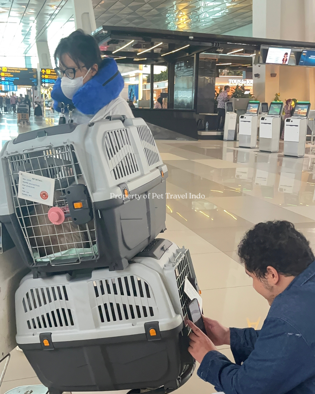 Shiro & Grisha are going to Thailand 🇹🇭