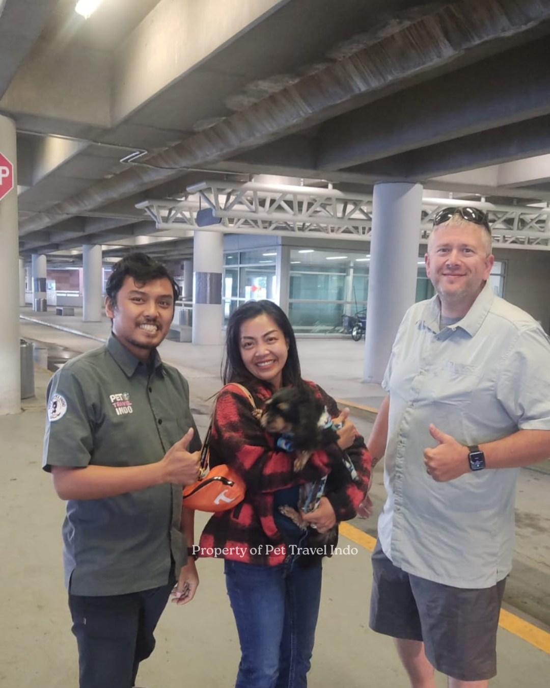 Molly finally arrived in USA 🇺🇸 all the way from Indonesia 🇮🇩!