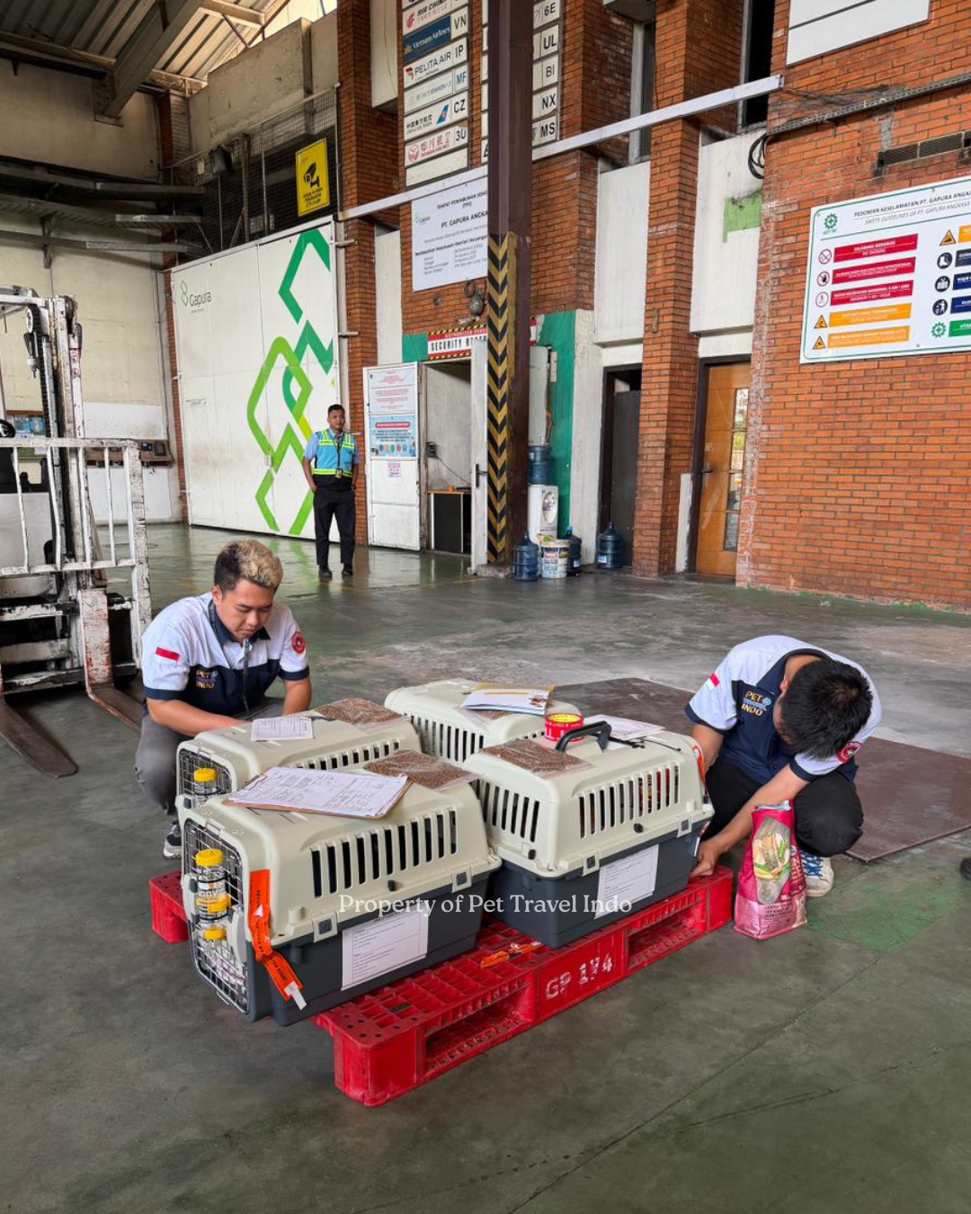 Our team preparing shipment cargo from Indonesia 🇮🇩 to South Africa 🇿🇦!