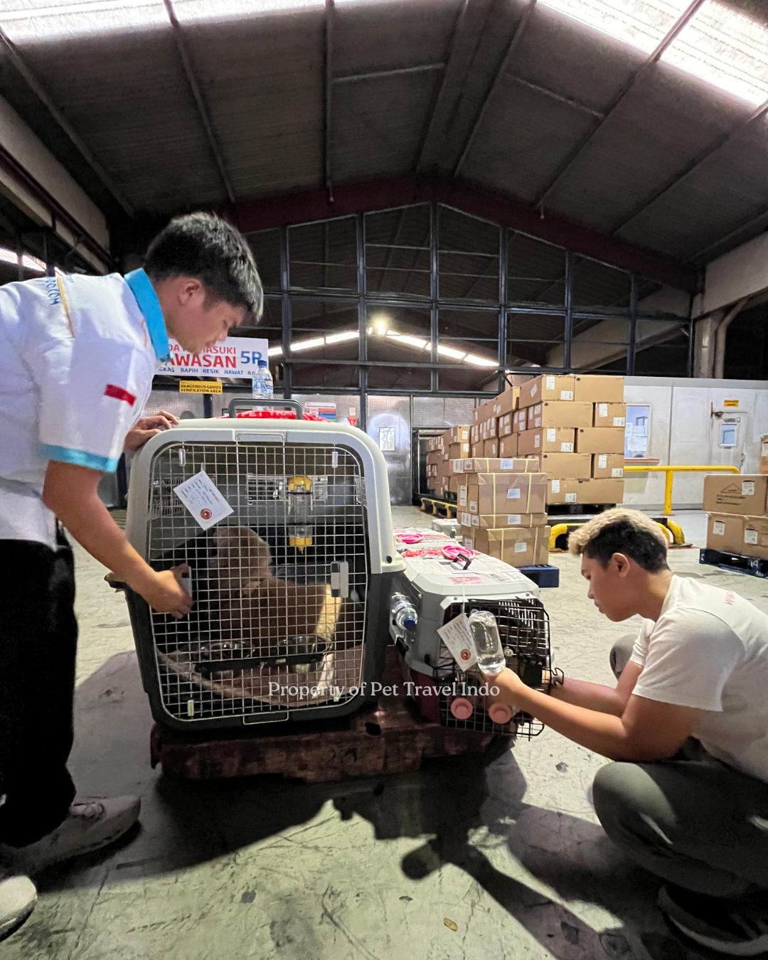 Another cargo from Indonesia 🇮🇩 to Dubai 🇦🇪
