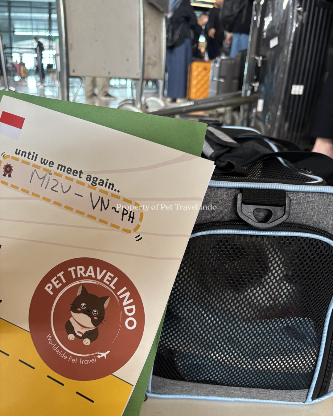 Mizu is going to Vietnam 🇻🇳 for holiday then going to Philippines 🇵🇭!