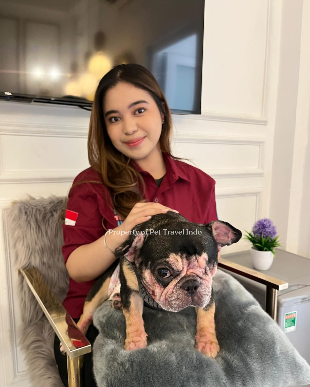 Kimmy flying with our VIP team from Cambodia 🇰🇭 to Indonesia 🇮🇩