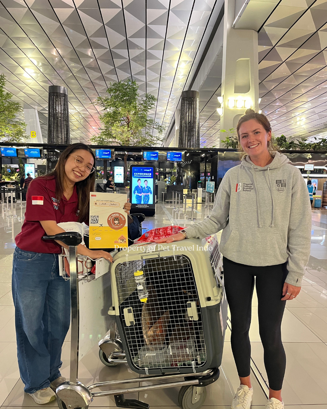 Luna is going to Spain 🇪🇸!