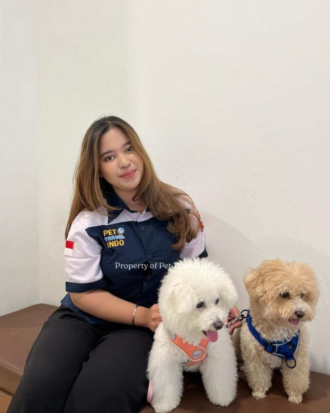 QiQi and Twotwo safely arrive in Indonesia 🇮🇩 from Philippines 🇵🇭