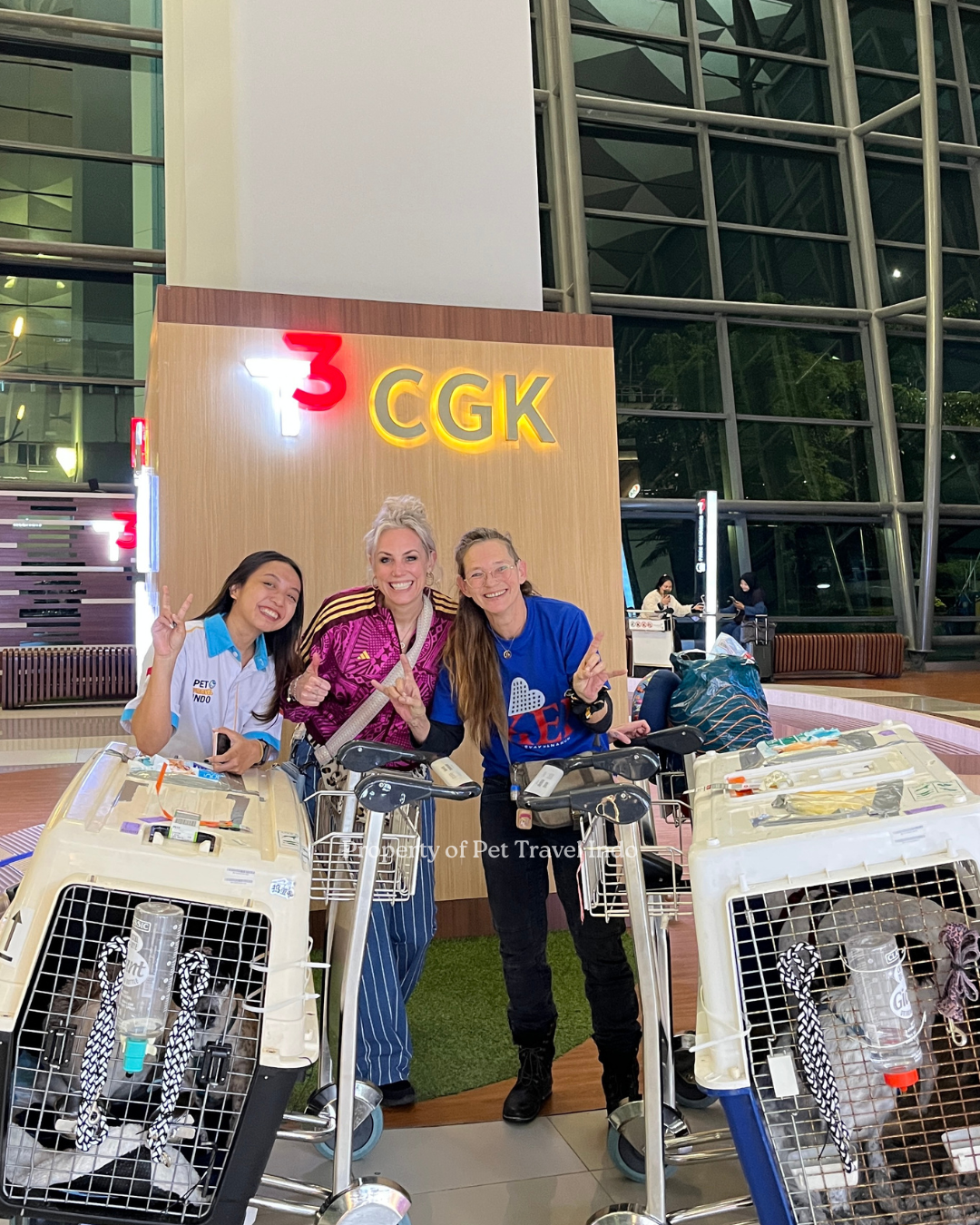 Ms. Furrer all the way from Netherlands 🇳🇱 with her 4 Dogs to Indonesia 🇮🇩!