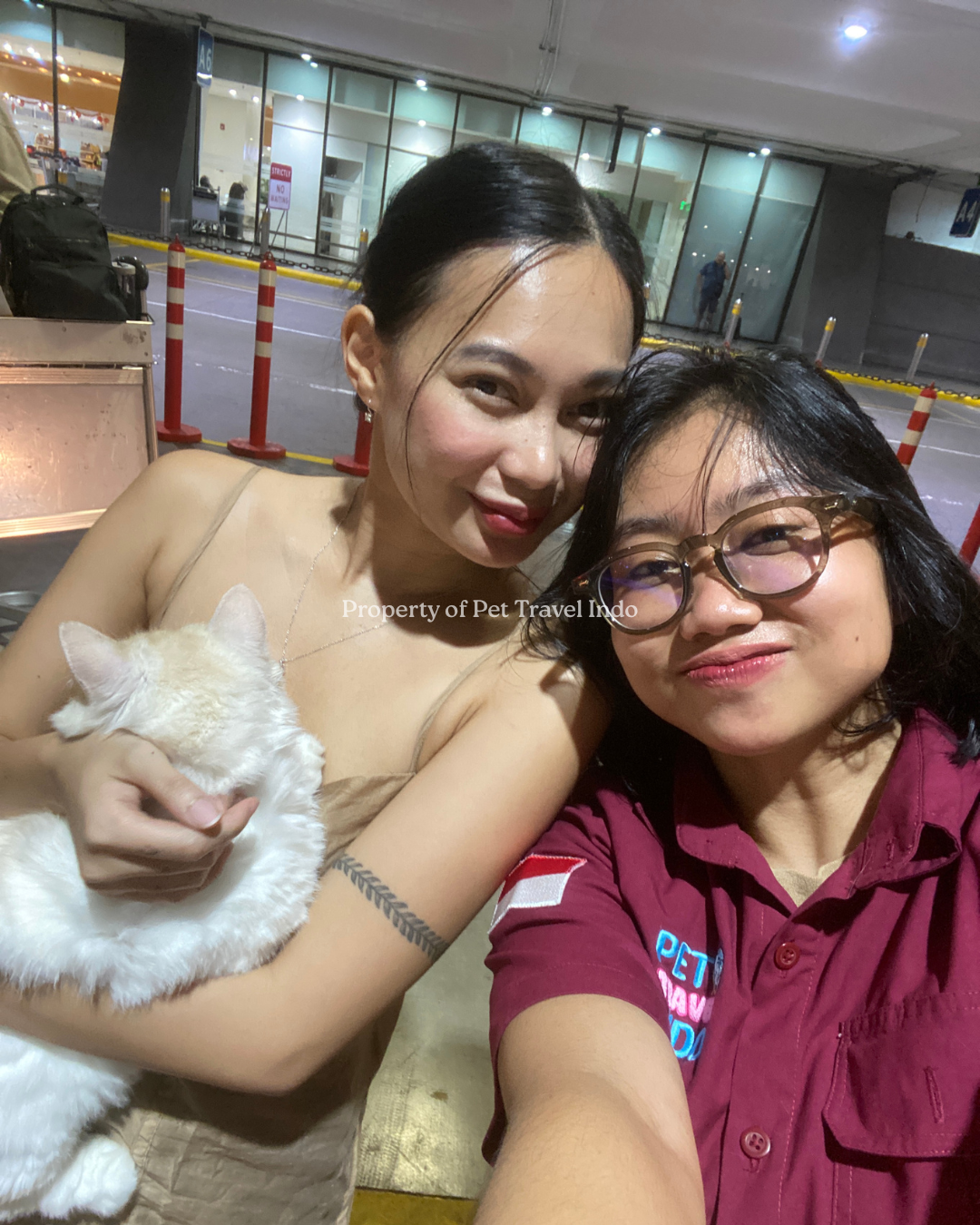 Nezuko flying with our VIP team from Indonesia 🇮🇩 to Philippines 🇵🇭