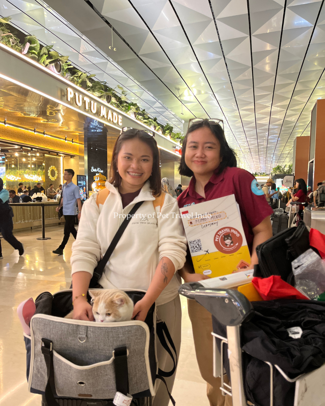 Miko & Mimo are going to German 🇩🇪