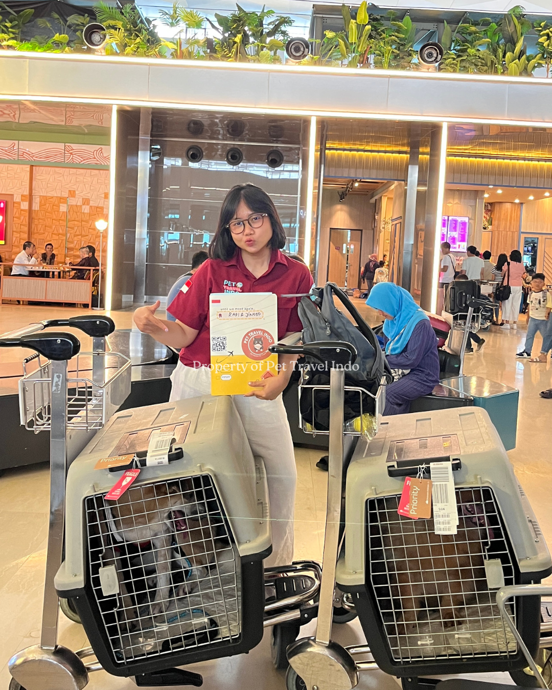 Rafi & Jinggo are going to Vietnam 🇻🇳