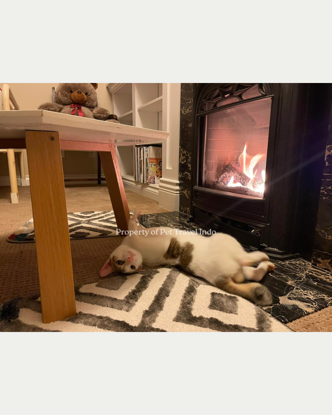 Susu living her live now in Canada 🇨🇦