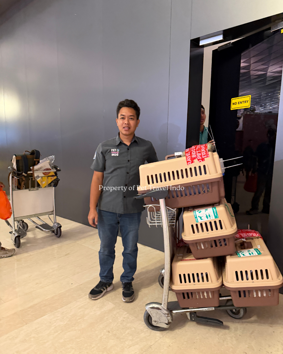 4 Rabbits to China! 🇨🇳