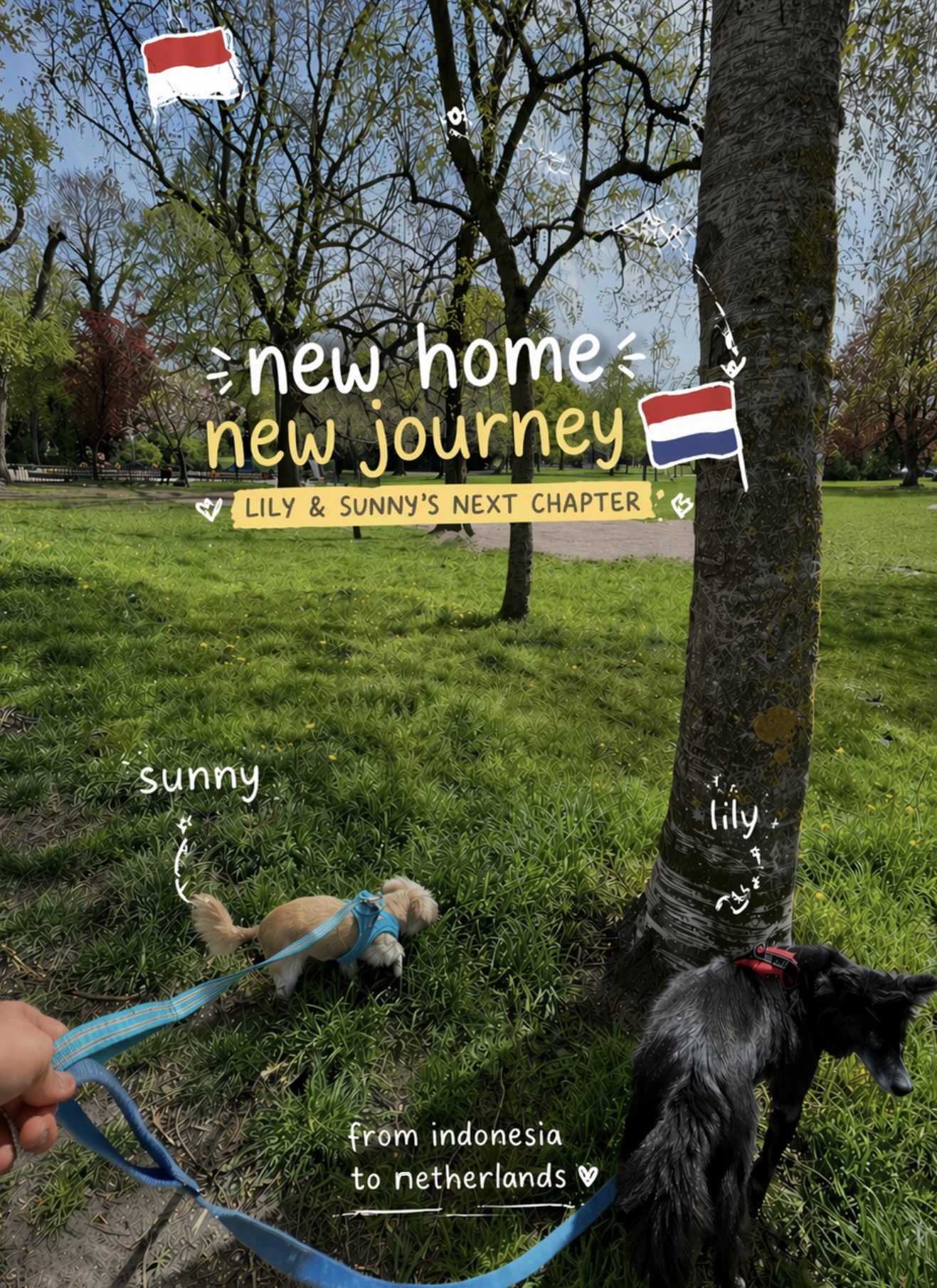 Sunny and Lily are now in Netherland!