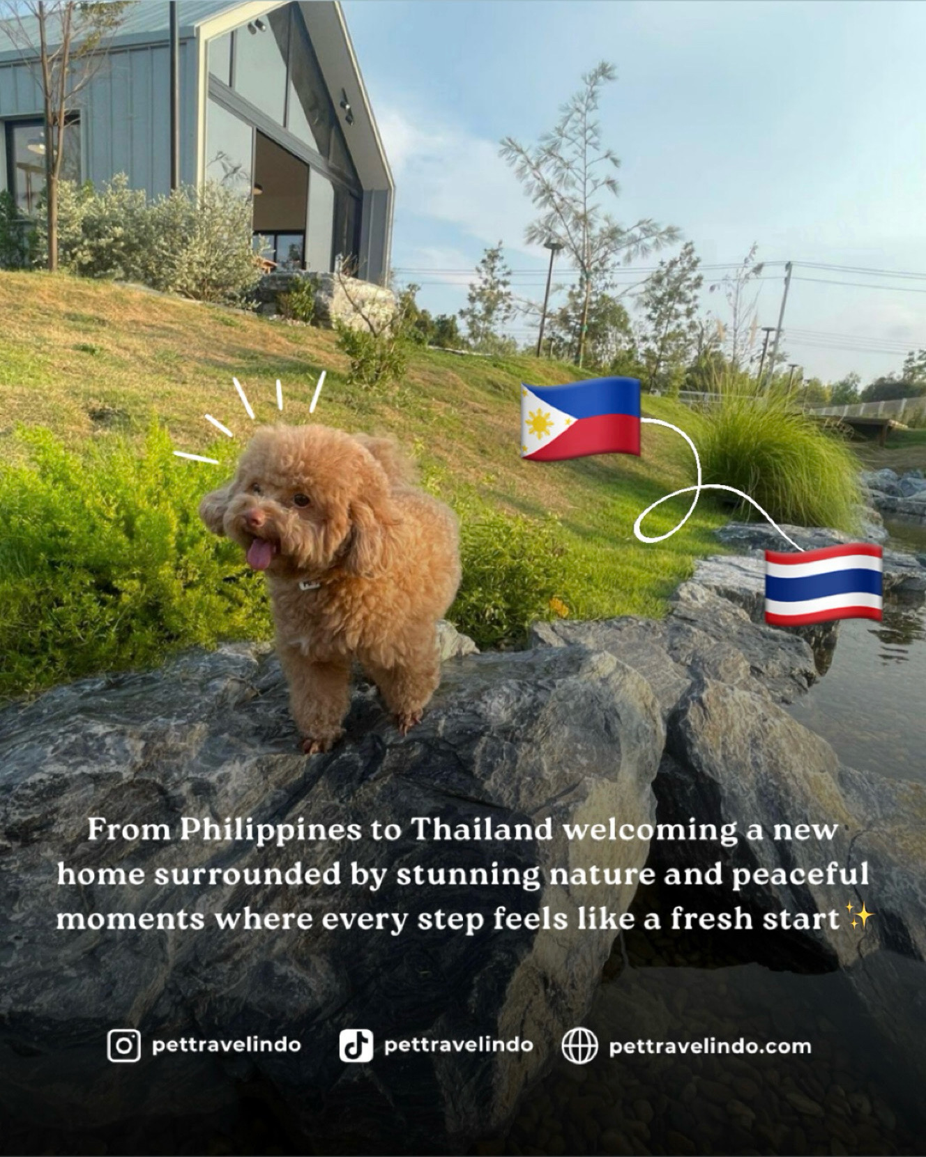Pico Fams now officially in Thailand